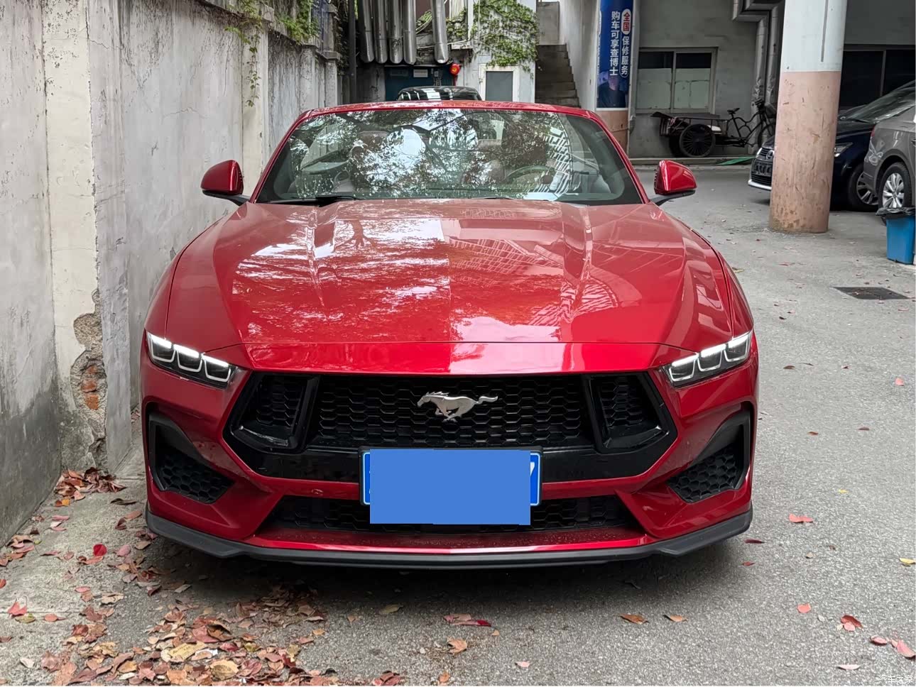 Ford Mustang, 2025 2