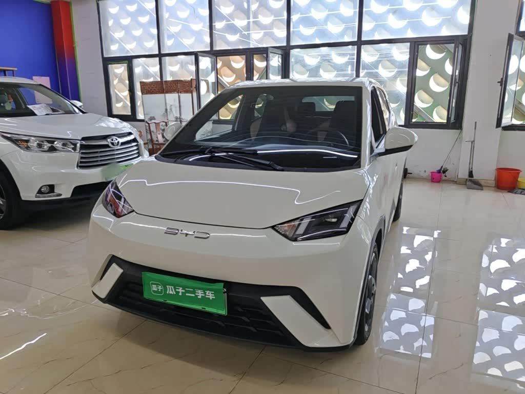 BYD Seagull