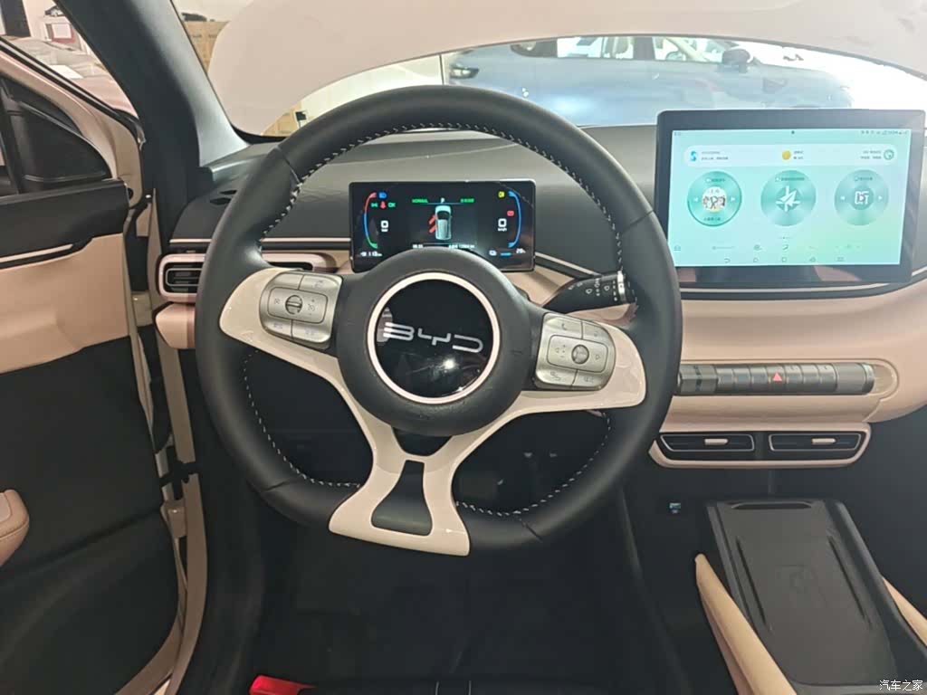 BYD Seagull, 2024 11