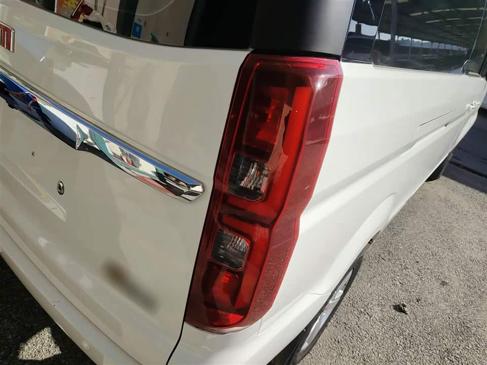 Jinbei Golden Sea Lion Classic