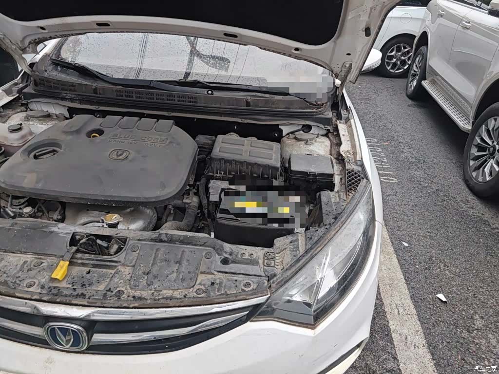 Changan Eado, 2016 22