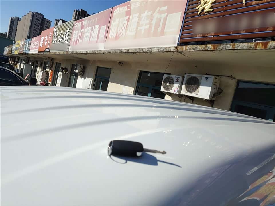 Jinbei Golden Sea Lion Classic