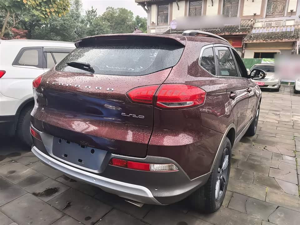 Leopaard Cheetah CS10