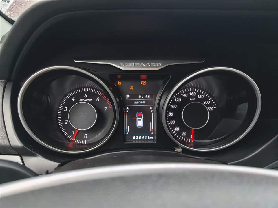 Leopaard Cheetah CS10