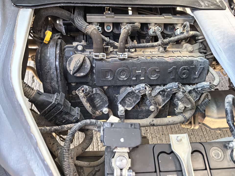 Jinbei New Sea Lion S