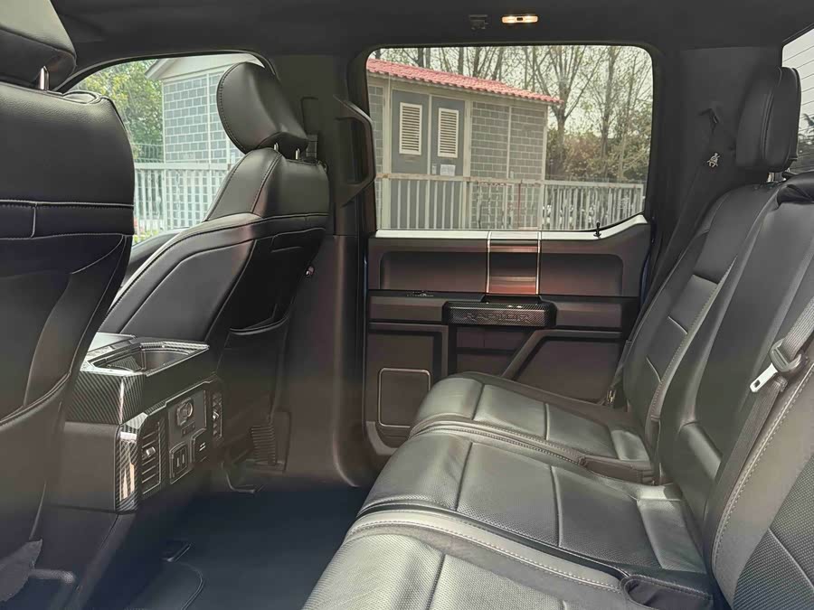 Ford F-150 Raptor 2020, фото 6