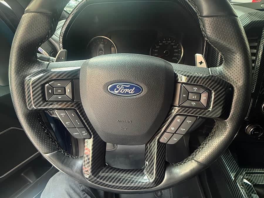 Ford F-150 Raptor 2020, фото 7