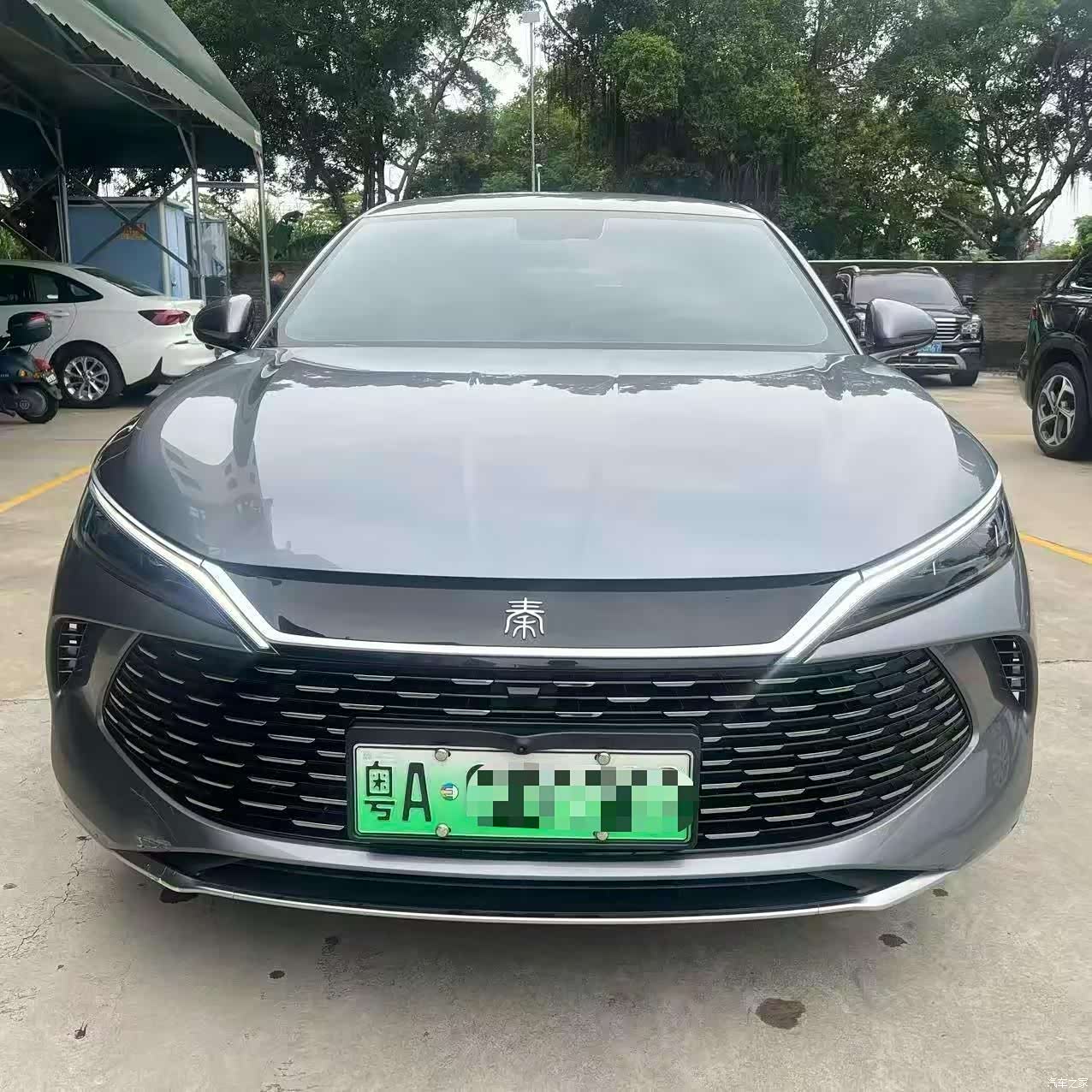 BYD Qin, 2024 2