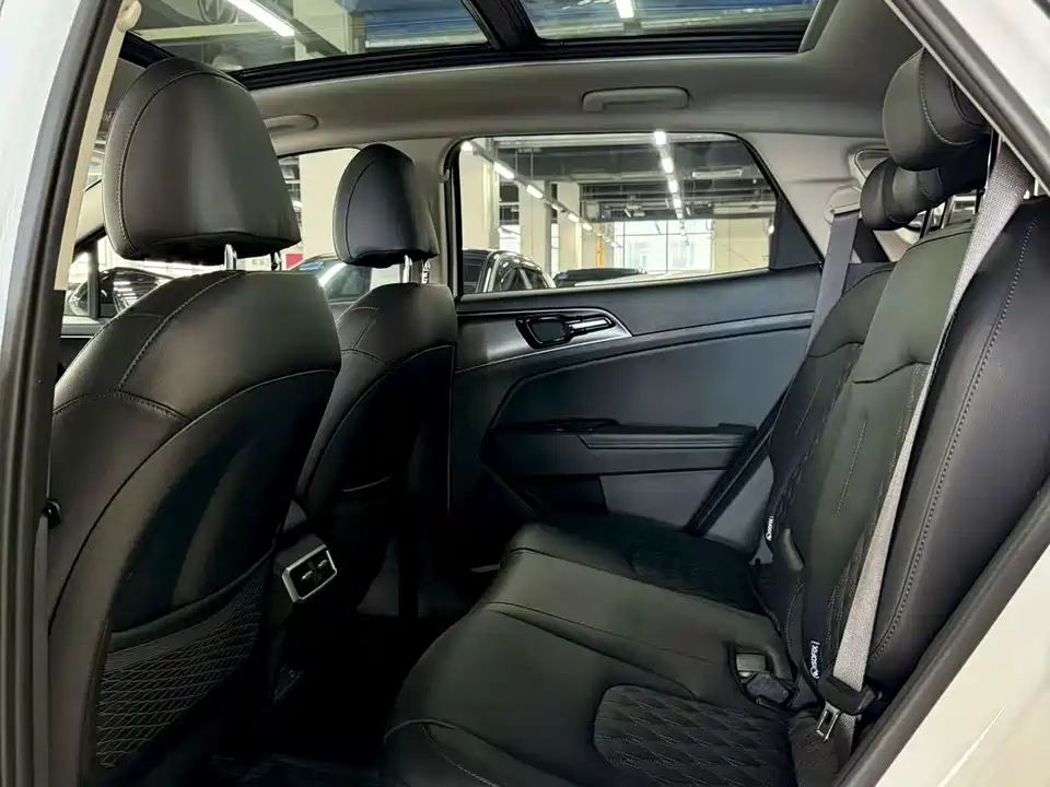 Kia Lion Platinum expands the world