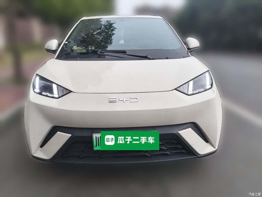 BYD Seagull, 2025 24