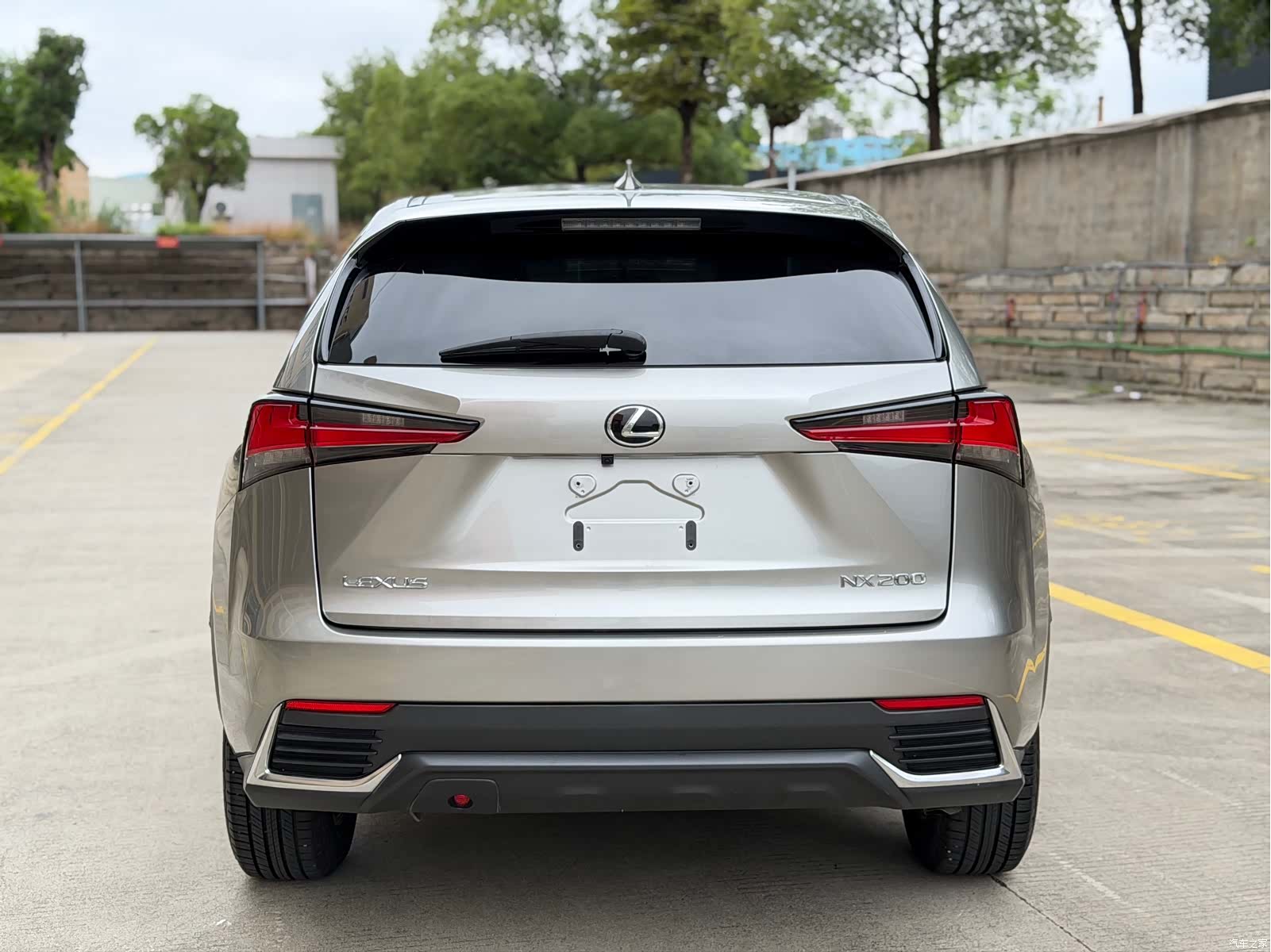Lexus NX, 2021 все фото