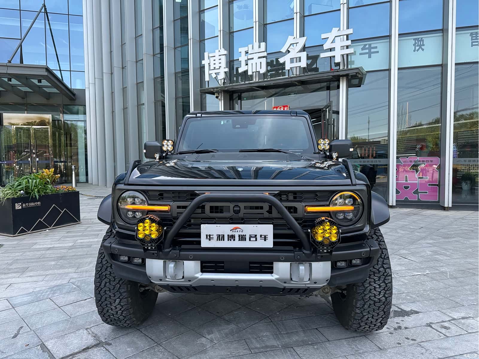 BroncoLieMa Bronco, 2024 2