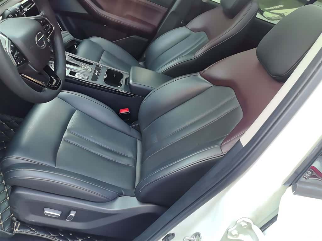 GAC GS4, 2020 8