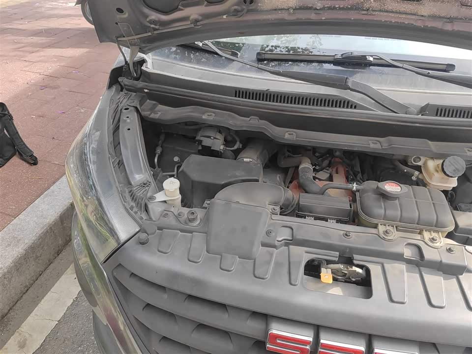 Jinbei Golden Sea Lion Classic