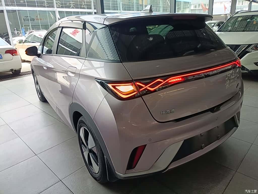 BYD Dolphin, 2024 все фото