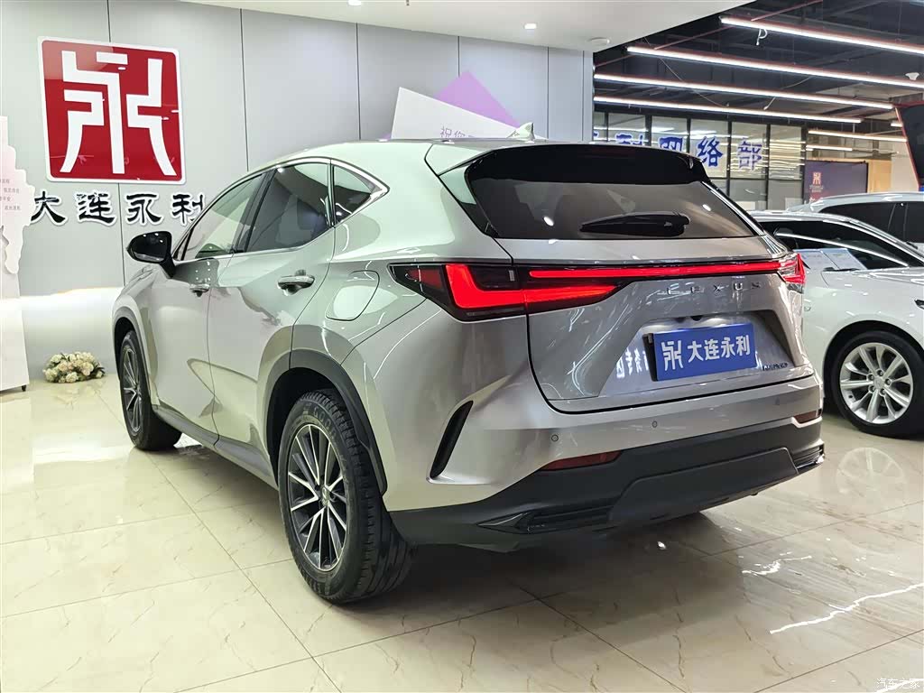 Lexus NX, 2023 18