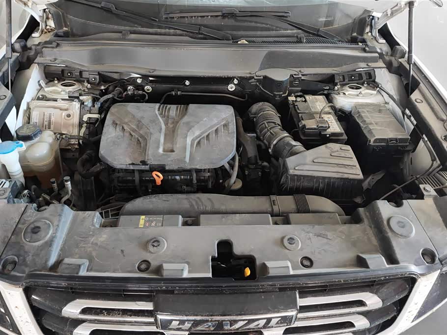 Haval Big dog Haval Big dog