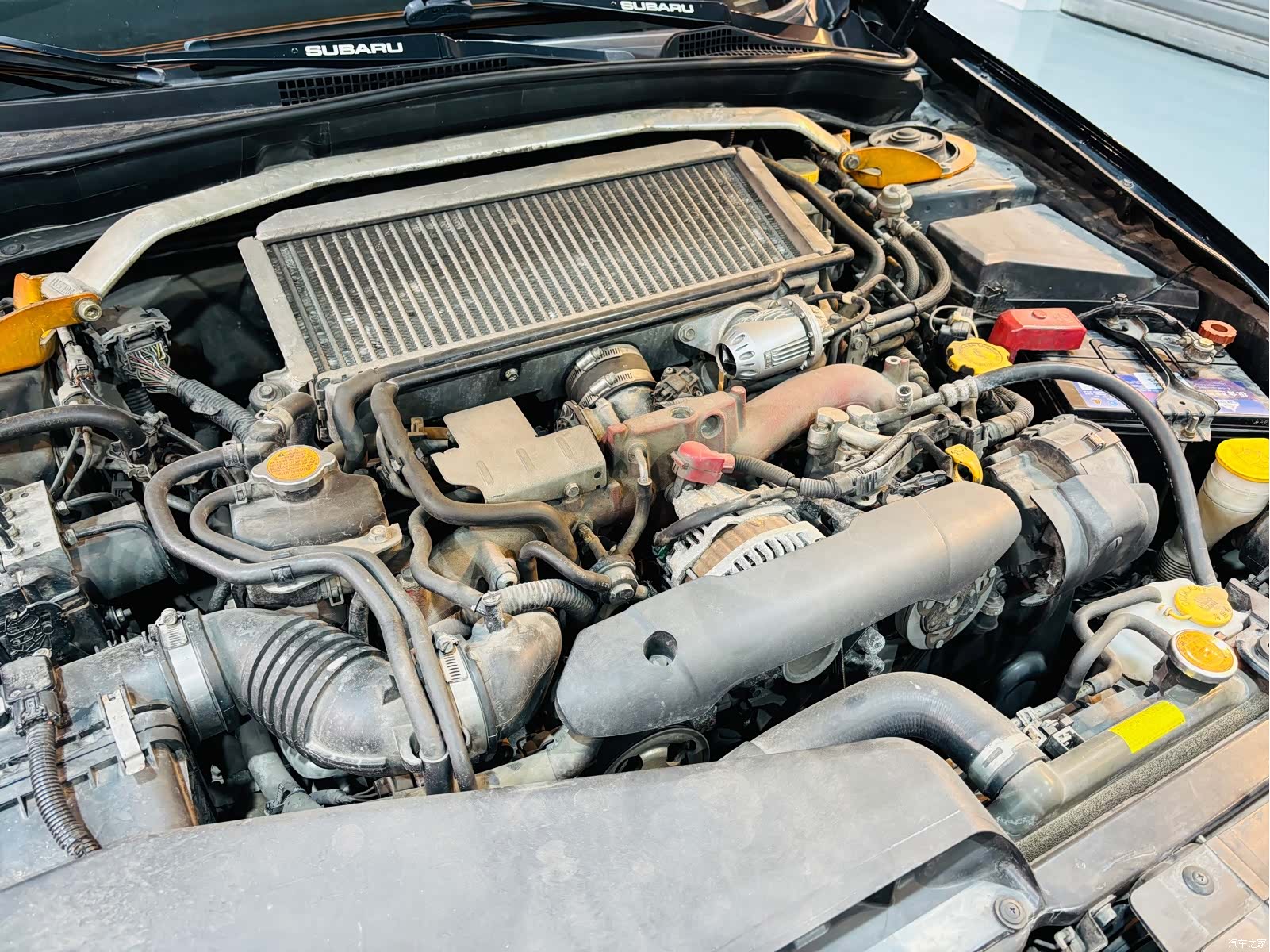 Subaru WRX, 2011 8
