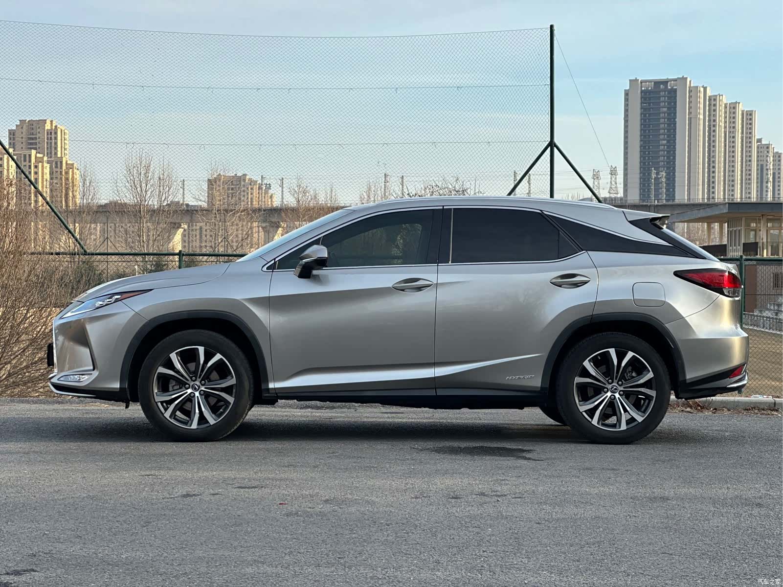 Lexus RX, 2020 все фото