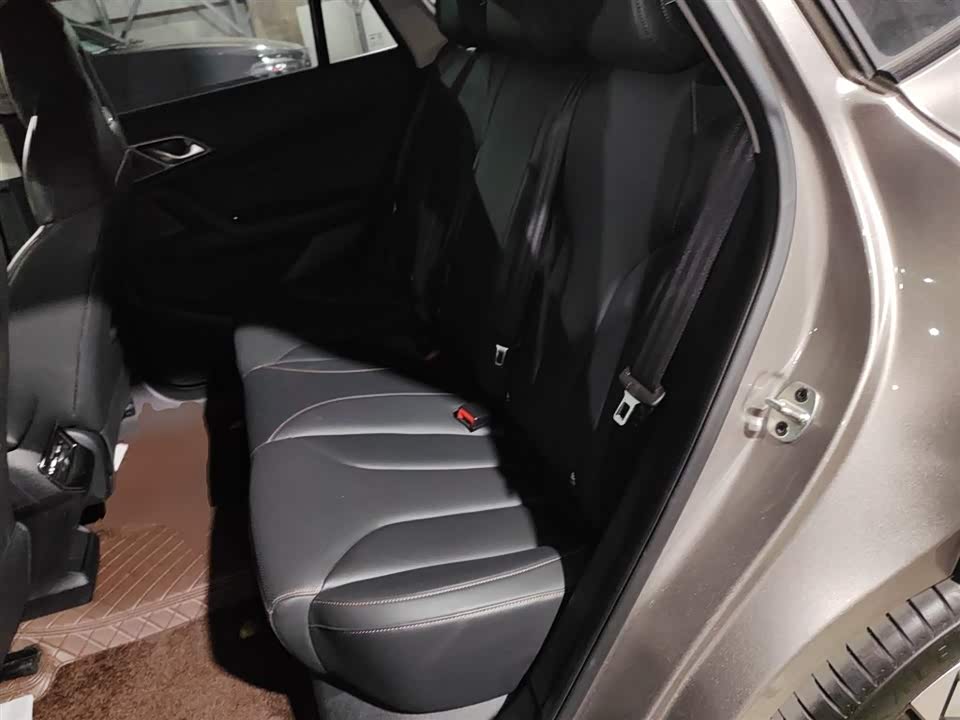 Roewe RX5 New energy