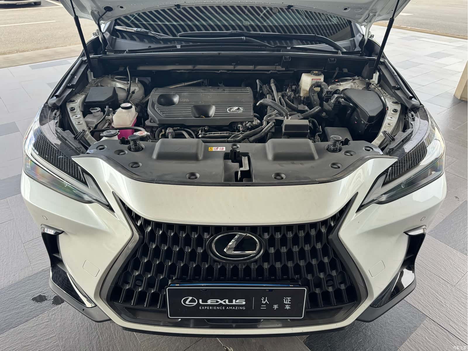 Lexus NX, 2024 7