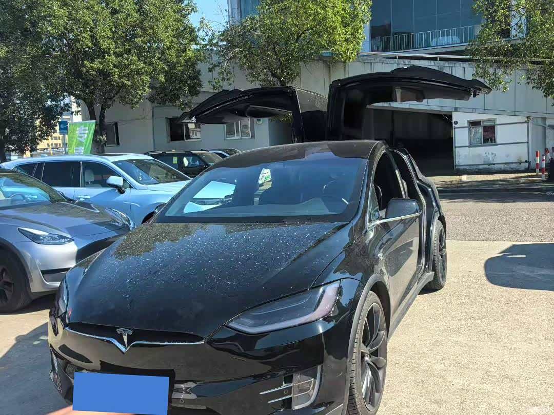 Tesla Model X, 2019 1
