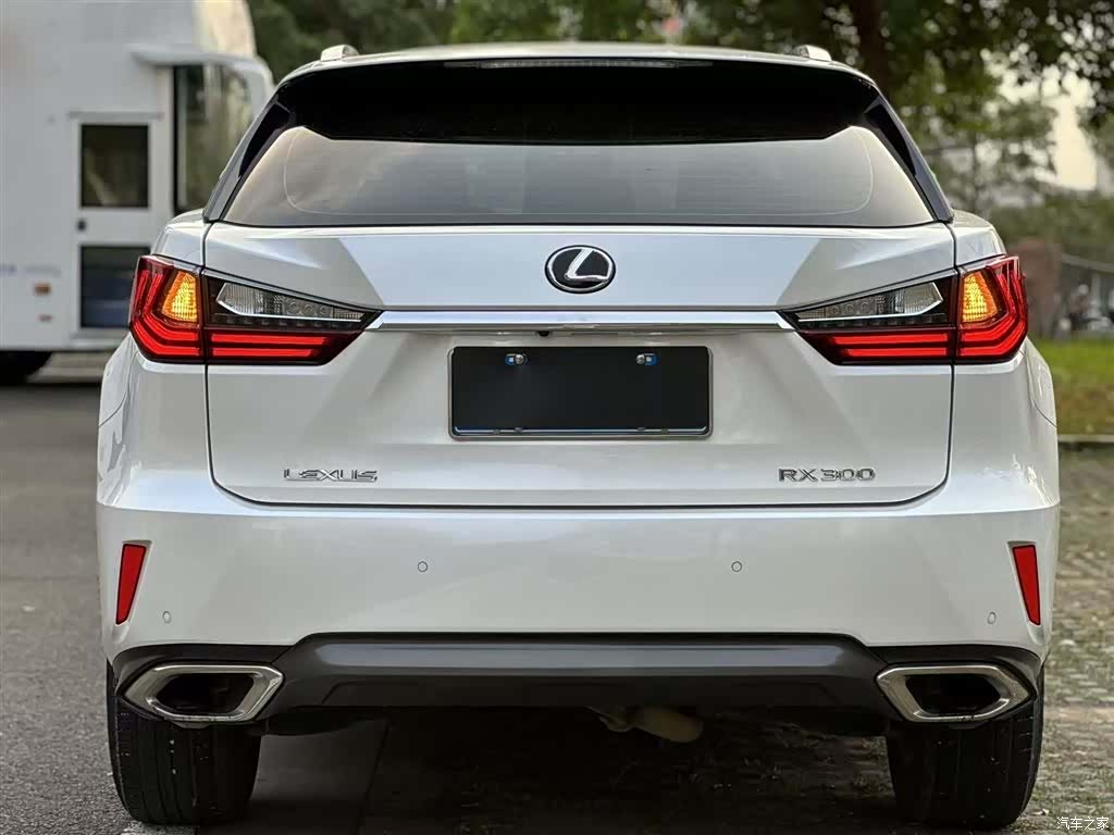 Lexus RX, 2018 13