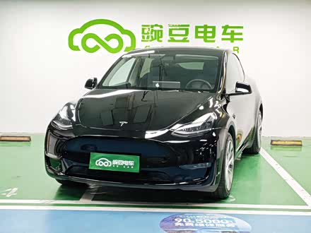 Model Y 2021 ׼