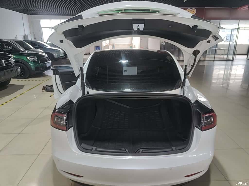 Tesla Model 3, 2021 19