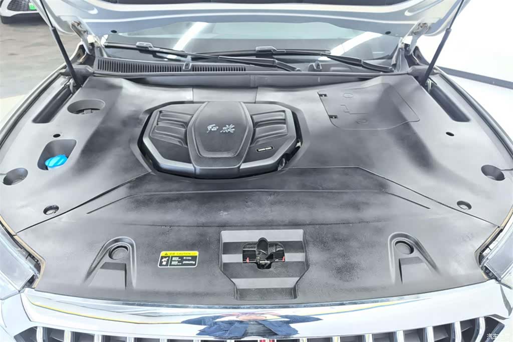 Hongqi HS5, 2020 10