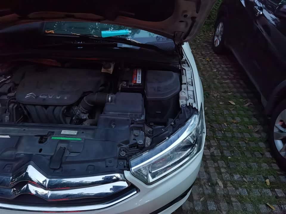 Citroen Sega