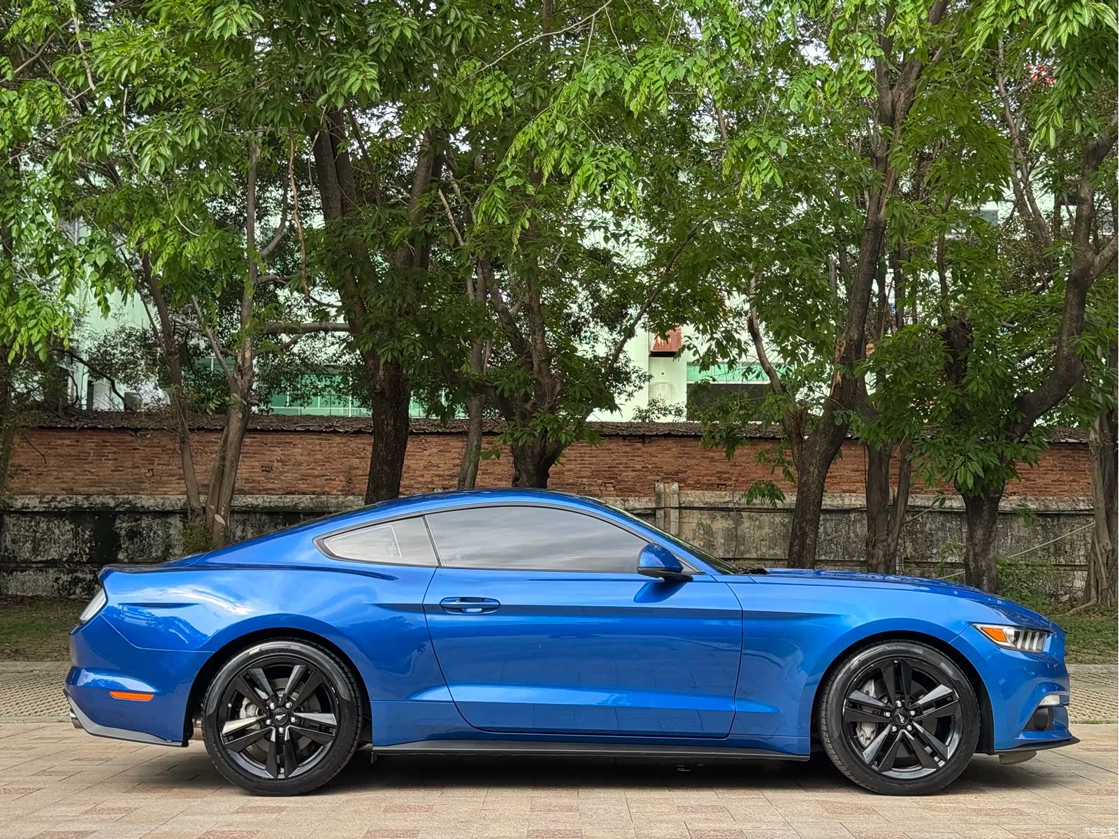 Ford Mustang, 2018 все фото