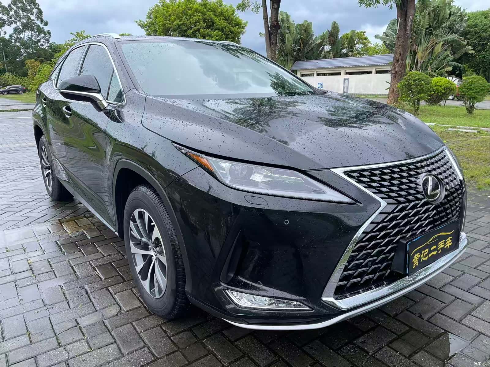 Lexus RX, 2020 10