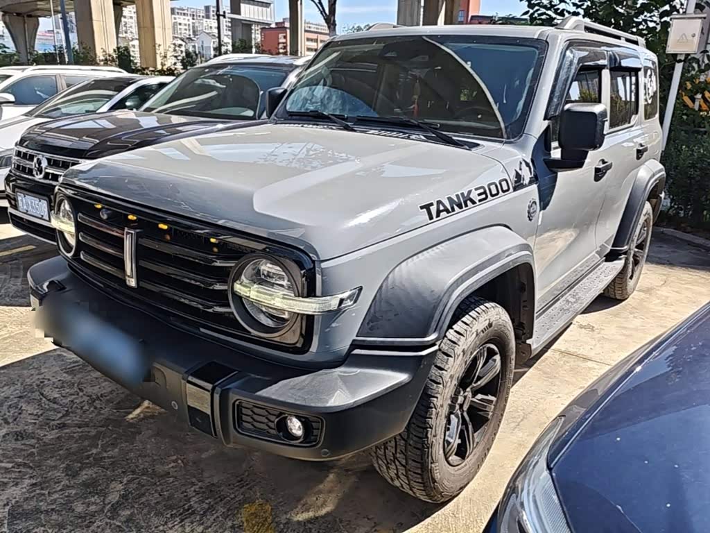 Tank 300