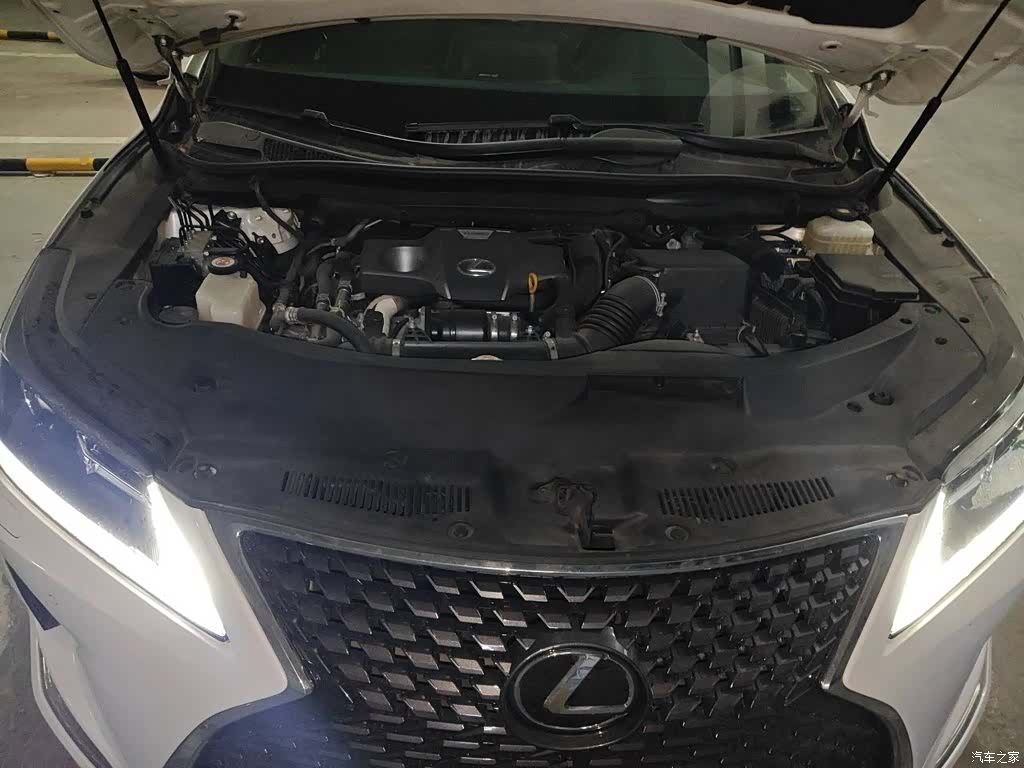 Lexus RX, 2020 16