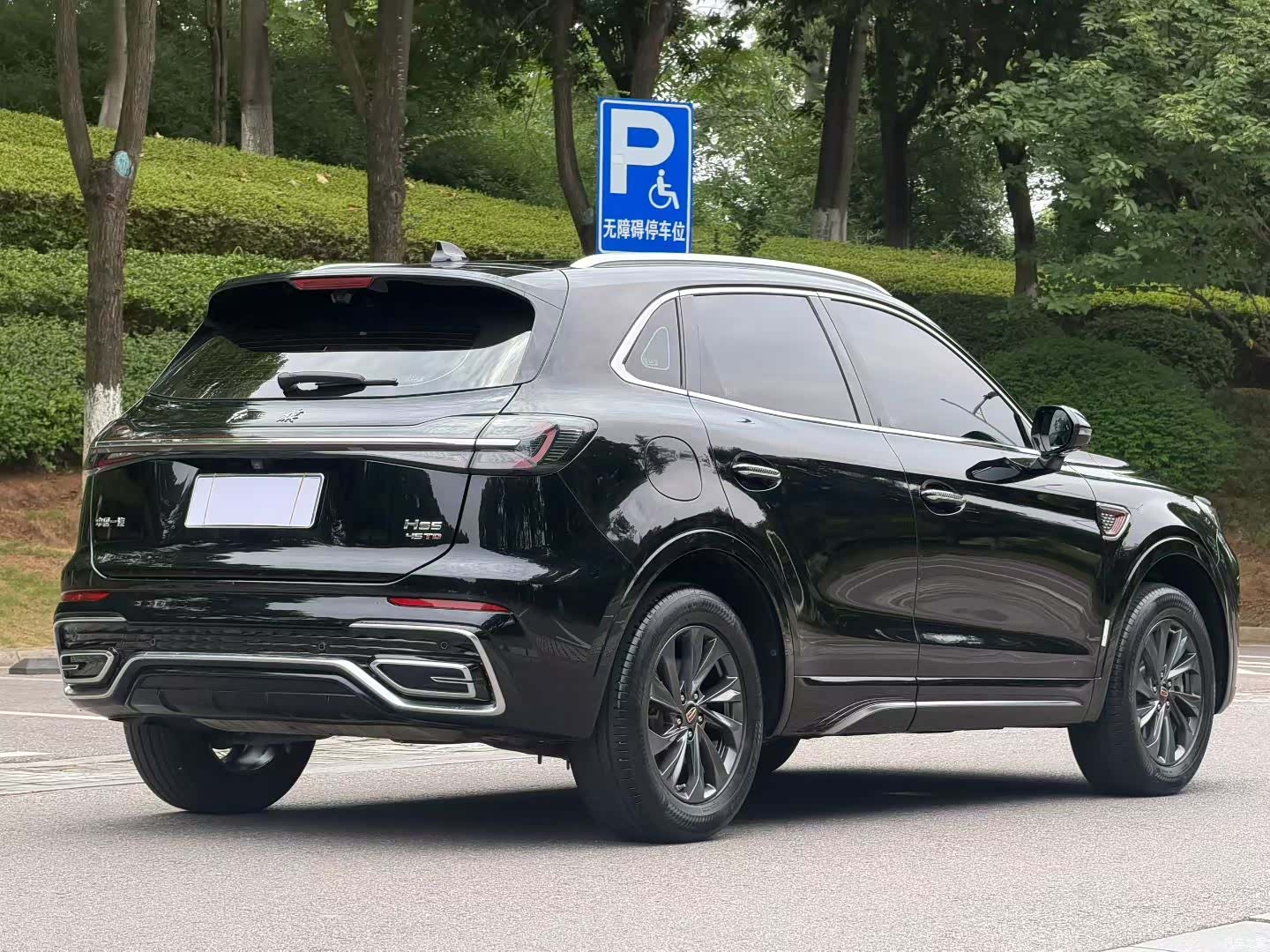 Hongqi HS5, 2024 15