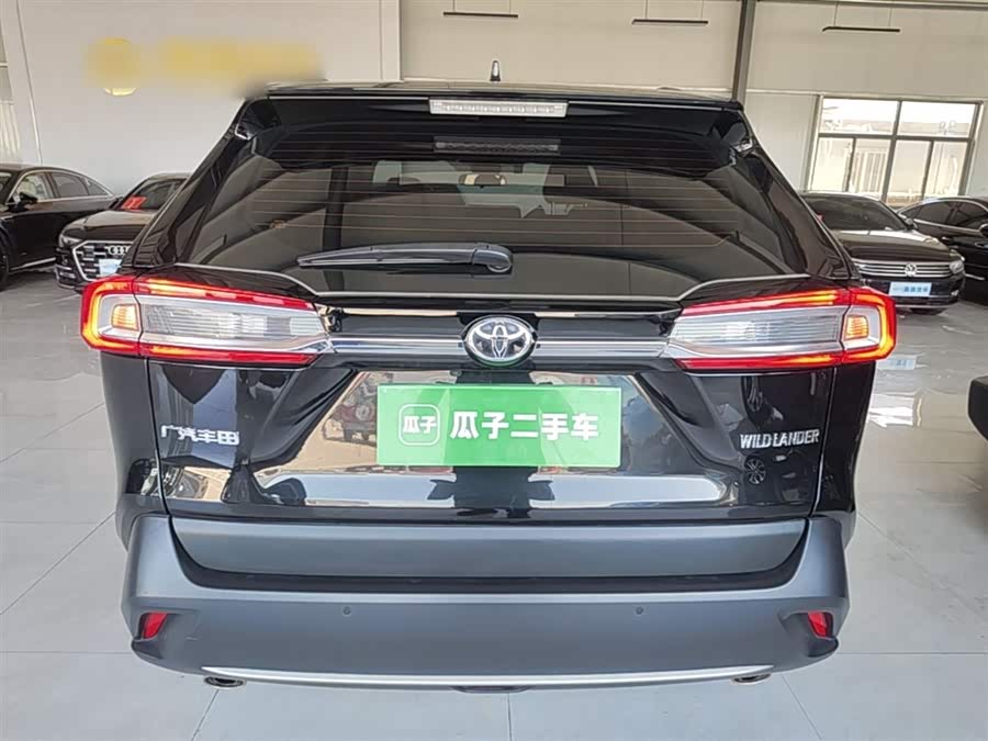 Toyota Wildlander 2024, фото 6