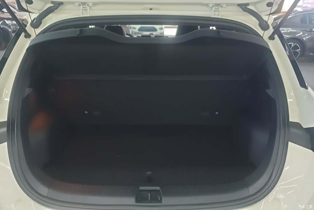 BYD Dolphin, 2026 4
