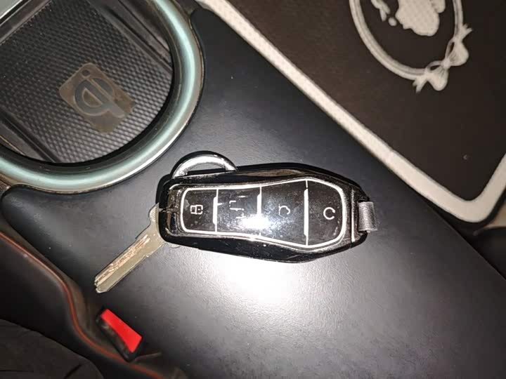 BYD Dolphin 2021 405km shi shang ban