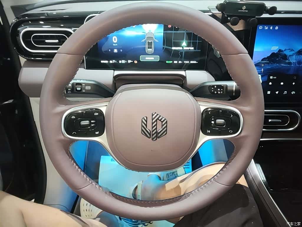 Leapmotor C11, 2023 11