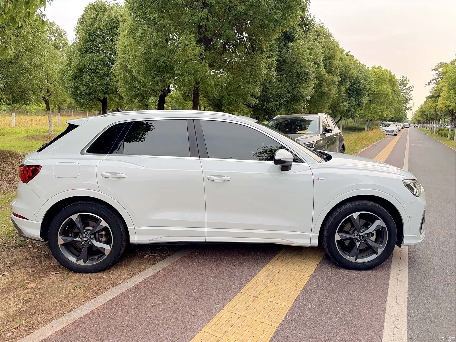 Audi Q3, 2022 все фото