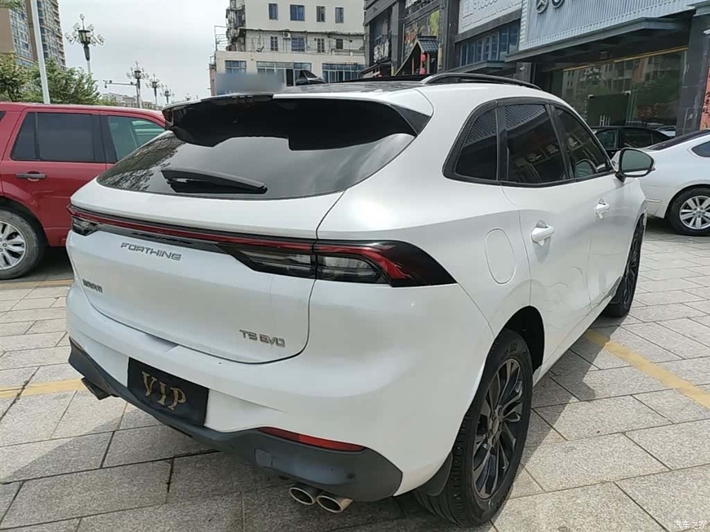 DongFeng T5, 2021 7