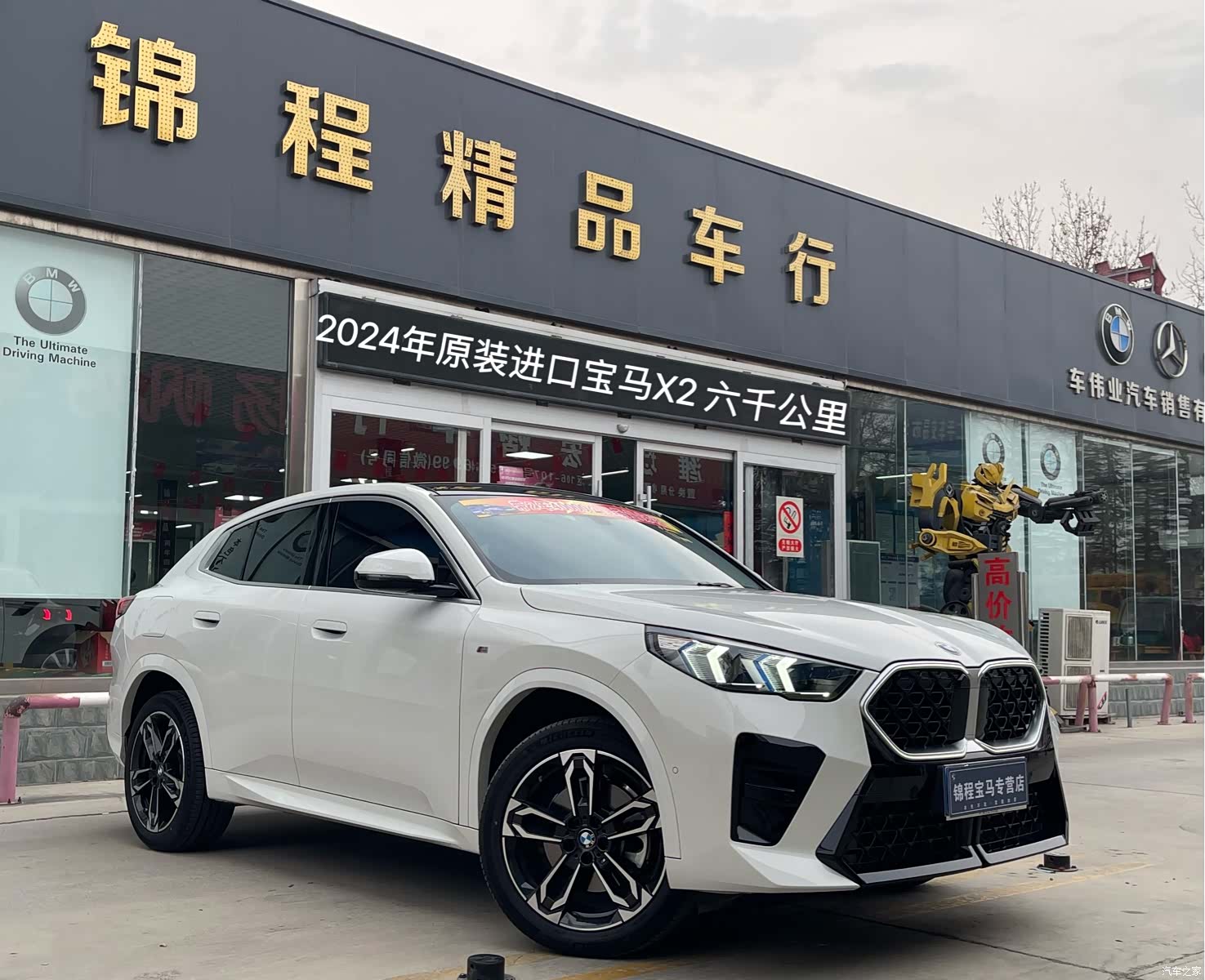 BMW X2, 2024 1