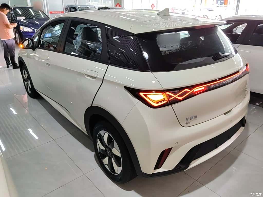 BYD Dolphin, 2026 все фото