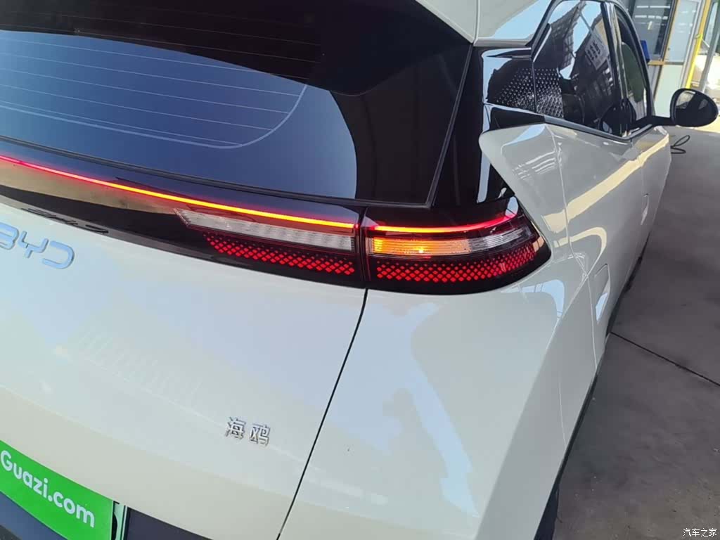 BYD Seagull, 2025 8