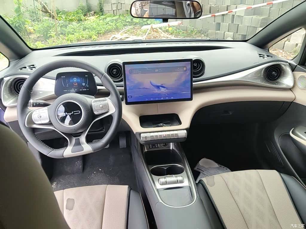 BYD Dolphin, 2023 10