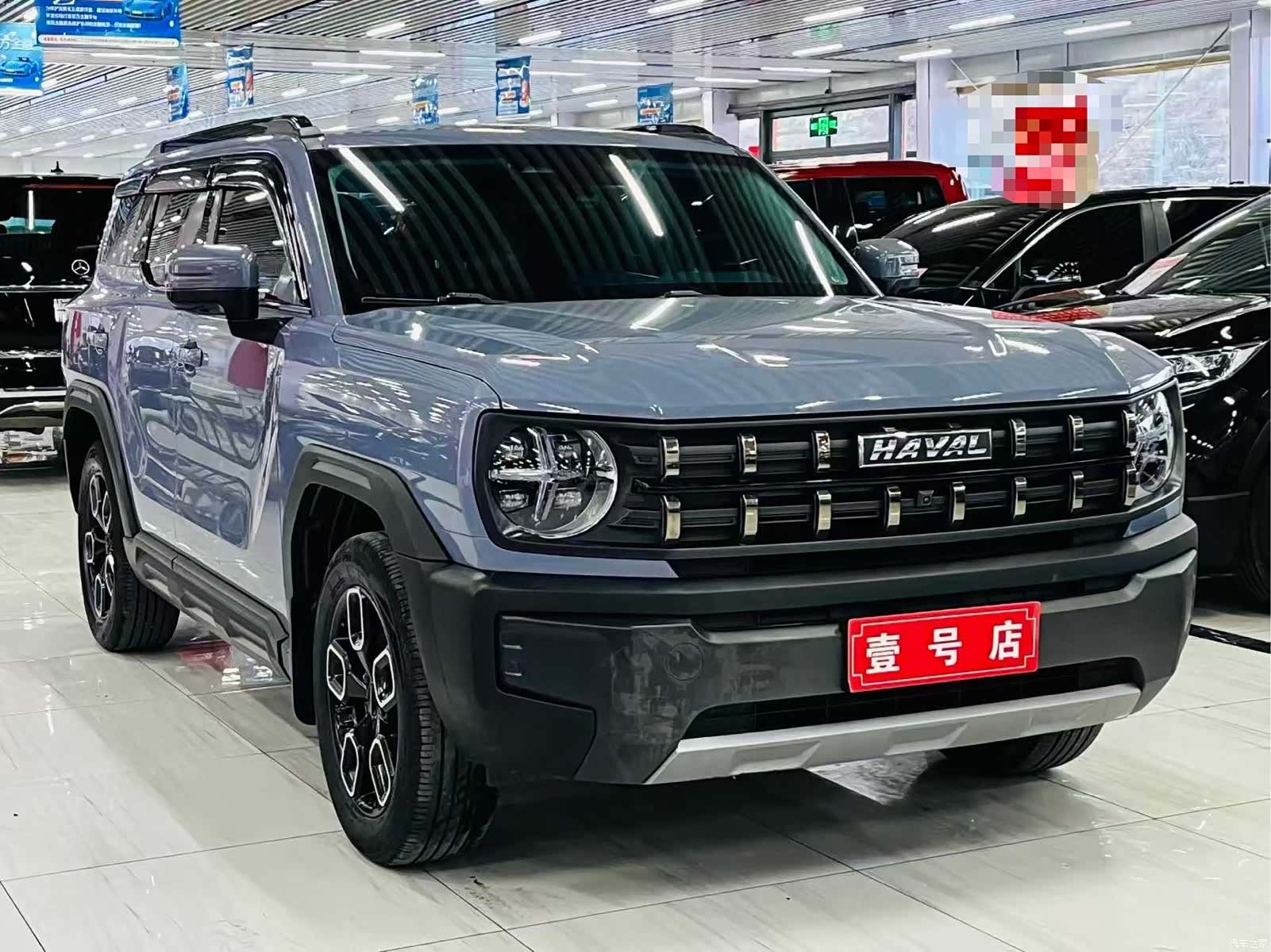 Haval Cool Dog, 2023 3