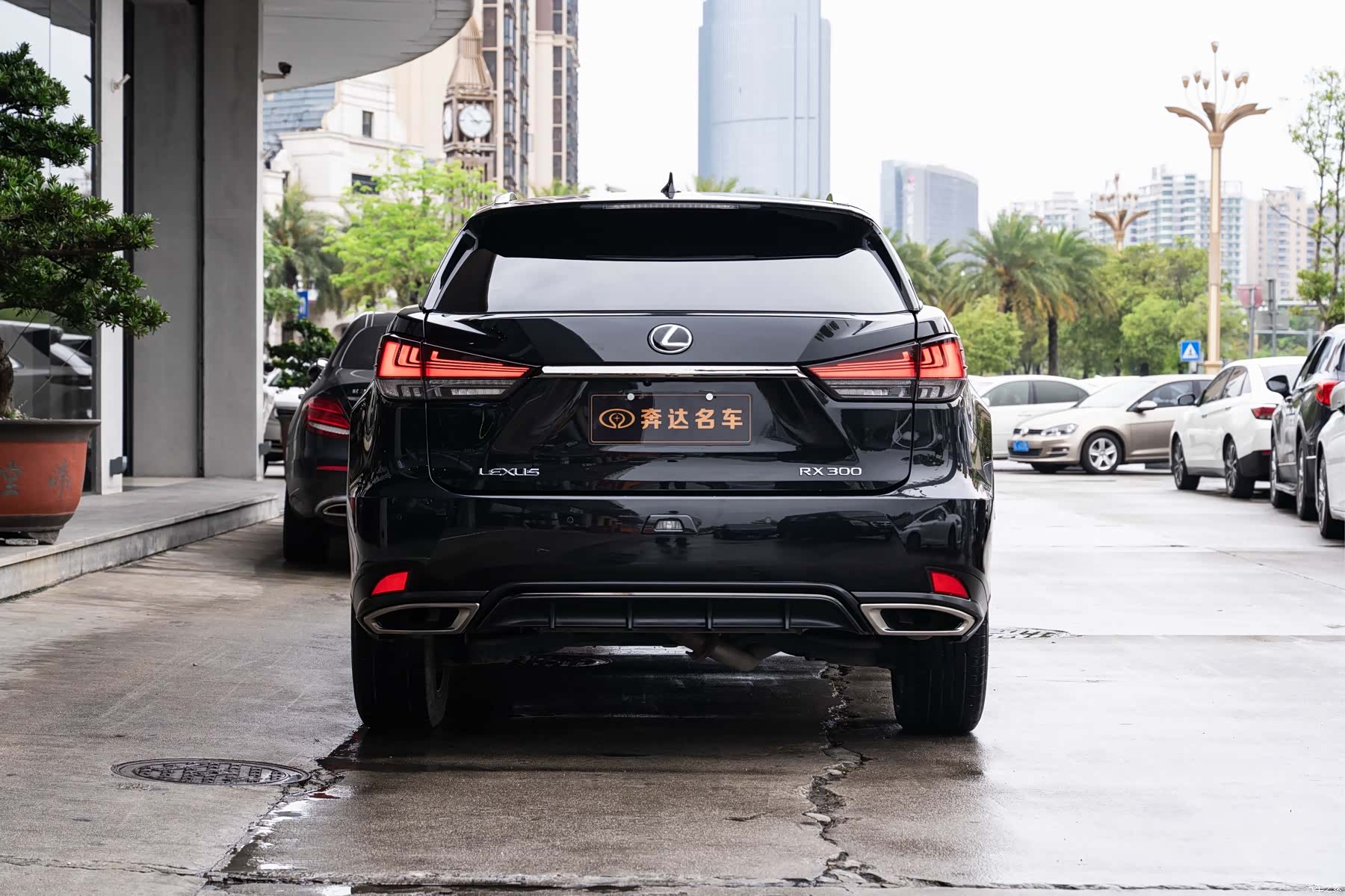 Lexus RX, 2020 все фото