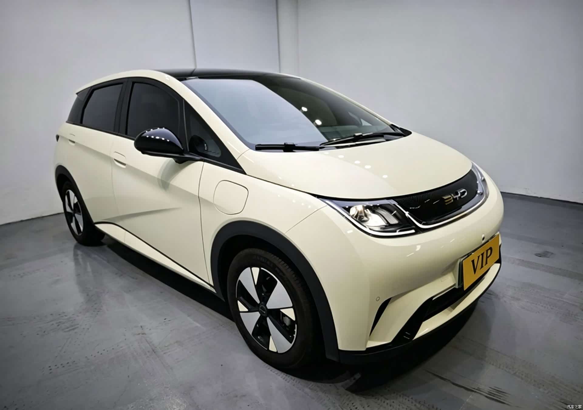 BYD Dolphin, 2024 2