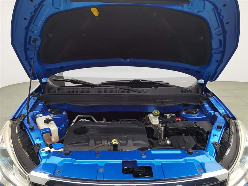 Leopaard Cheetah CS9